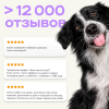 Очищающий шампунь с мицеллами для собак Pamilee Grooming 1:50 SmartClean с ароматом лимона и лайма, 250мл