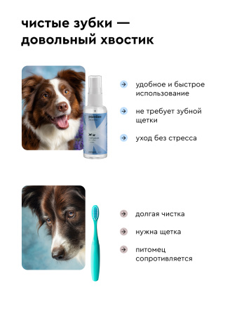 Спрей для рта кошек и собак 50 ml