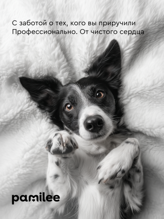 Шампунь-пенка с экстрактом плодов облепихи для собак и кошек 150 ml