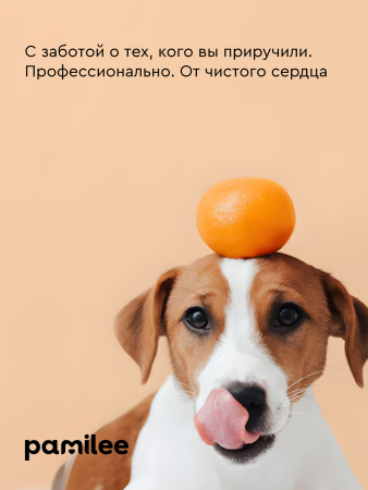Шампунь увлажняющий с пантенолом с ароматом Нового года мандарин - ваниль 444 мл