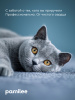 Шампунь с хлоргексидином Pet Health shampoo 5000 ml