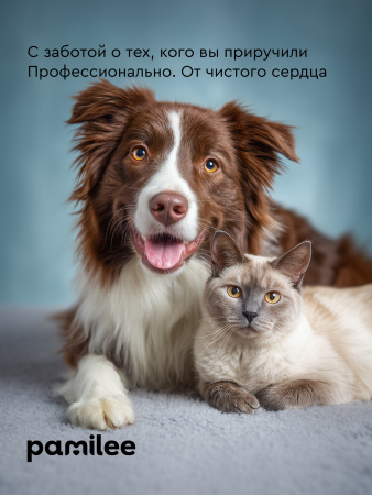 Спрей для рта кошек и собак 50 ml