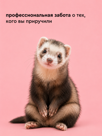 Сухой шампунь для кошек и собак, 35г