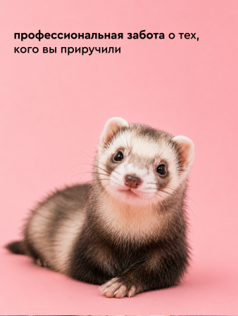 Сухой шампунь для кошек и собак, 35г