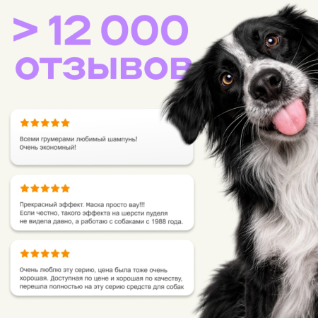 Набор для кошек «ExtraCoat 1л + ShowCoat 1л + DoubleCoat Conditioner 1л»