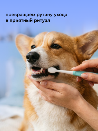 Зубная паста ферментированная для собак и кошек, вкус печени говядины, 75мл