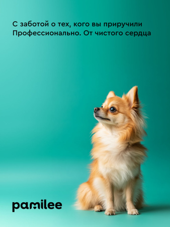 Лосьон для ушей ClearEars 100 ml