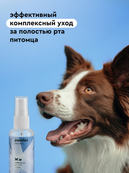 Спрей для рта кошек и собак 50 ml