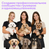 paWool shampoo L Шампунь для собак с длинной шерстью 5000 ml