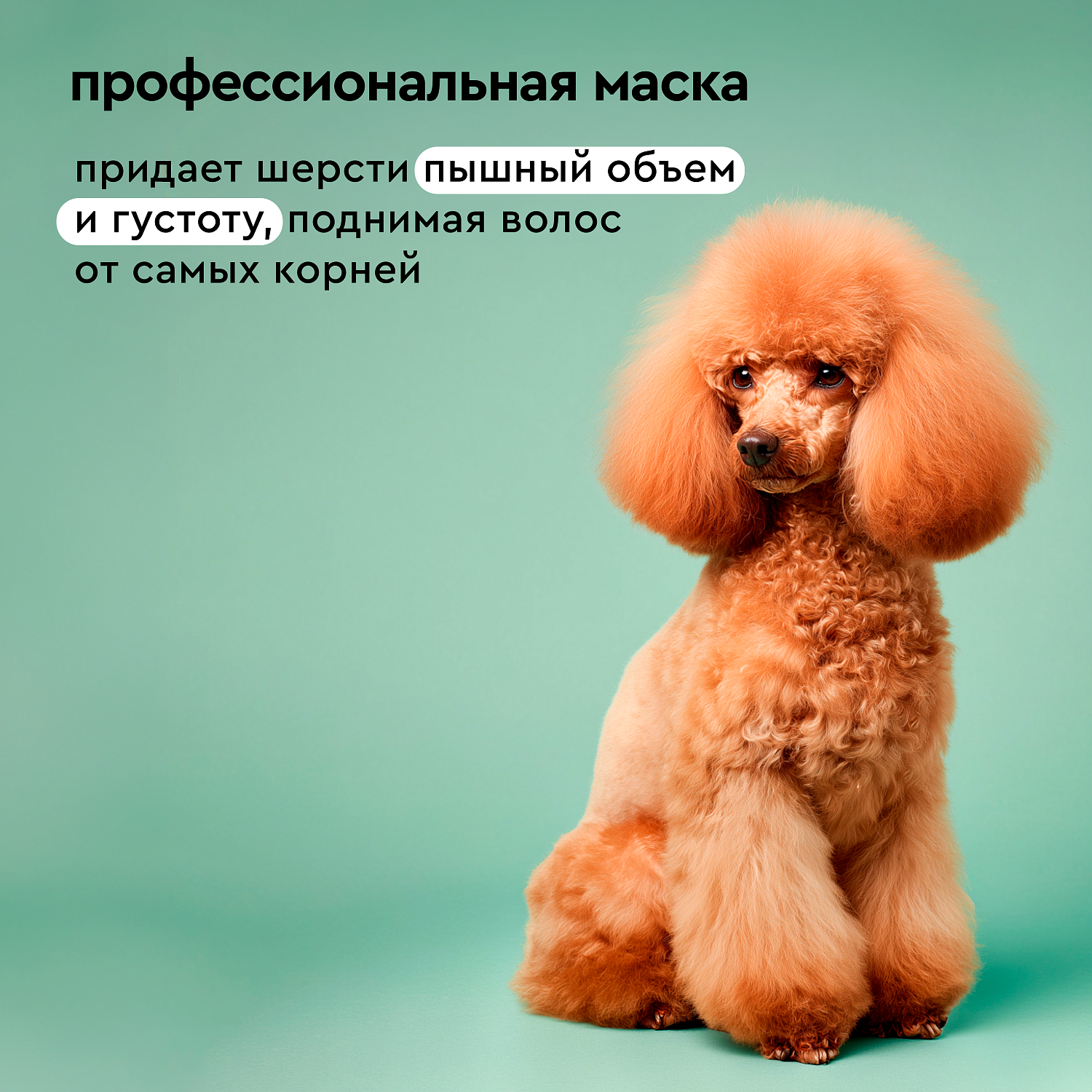 Маска для объема для собак paWool mask V, 500мл