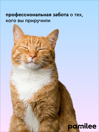 Шампунь универсальный для кошек всех пород с ароматом Молочный коктейль, 250 мл