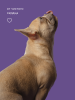 Биоошейник антипаразитарный Pet Health collar 35 cm